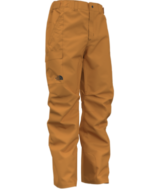 THE NORTH FACE Ski pants FREEDOM in dark orange/ black