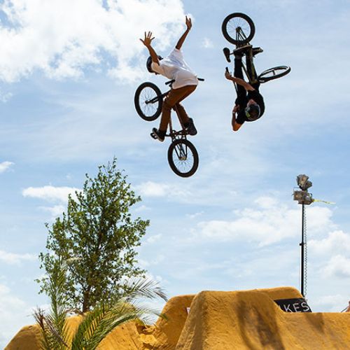 BMX Bikes and Dirt Jumpers