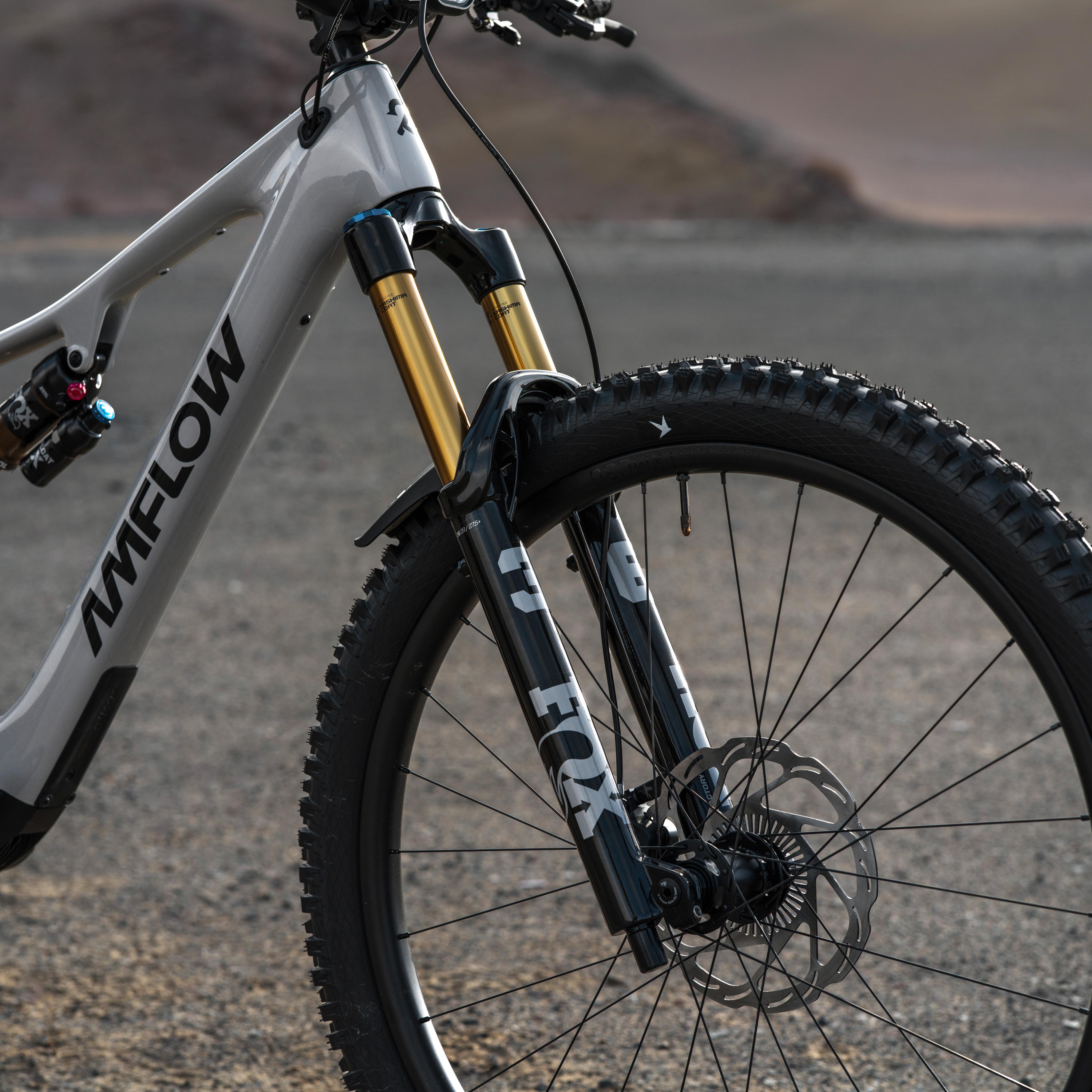 Amflow PX Carbon and PX Carbon Pro E-MTB