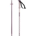 Salomon Polar Ski Poles