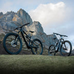 Amflow PL Carbon and PL Carbon Pro