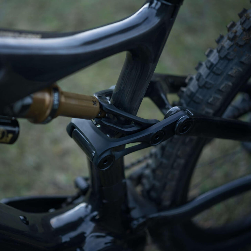 Amflow PL Carbon Pro detail