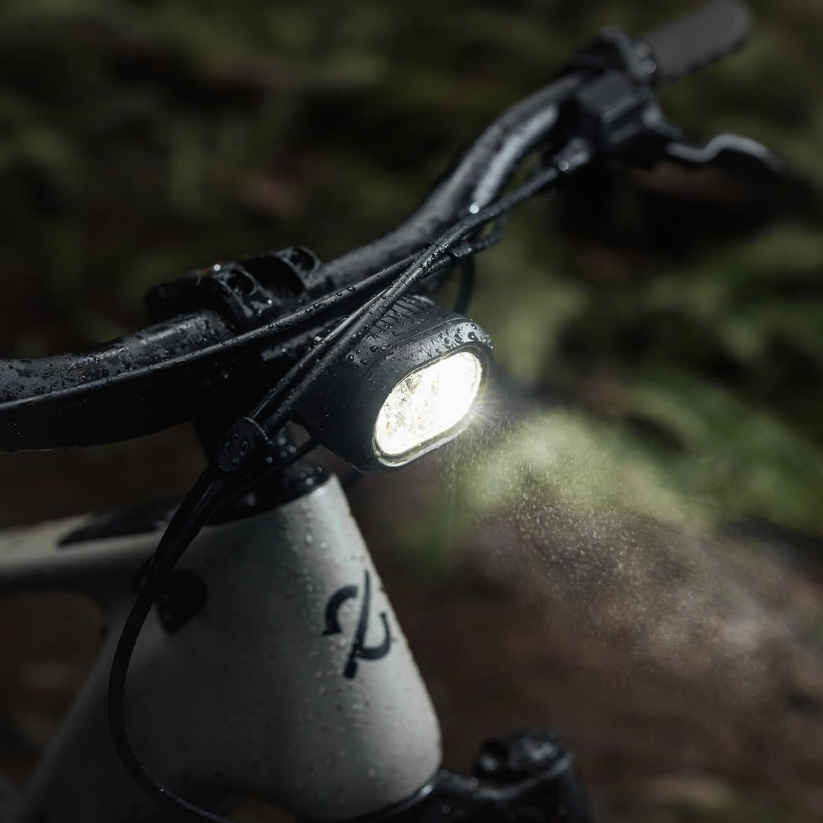 Avinox integrated front light