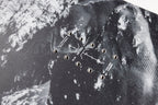 Nitro Prime Raw Snowboard