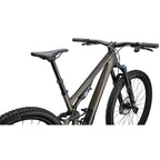 Stumpjumper 15 Expert
