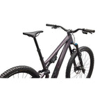 Stumpjumper 15 EVO Expert Di2