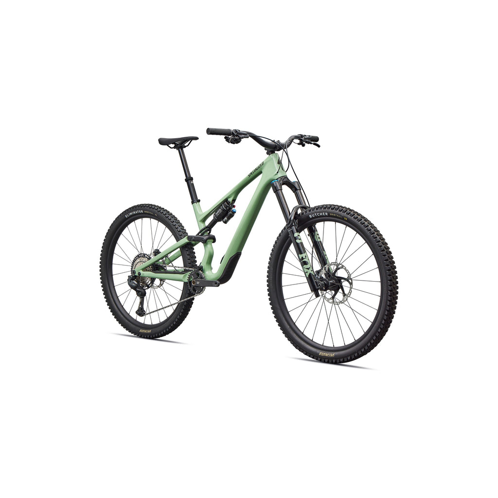 Stumpjumper 15 EVO Expert Di2
