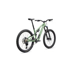Stumpjumper 15 EVO Expert Di2