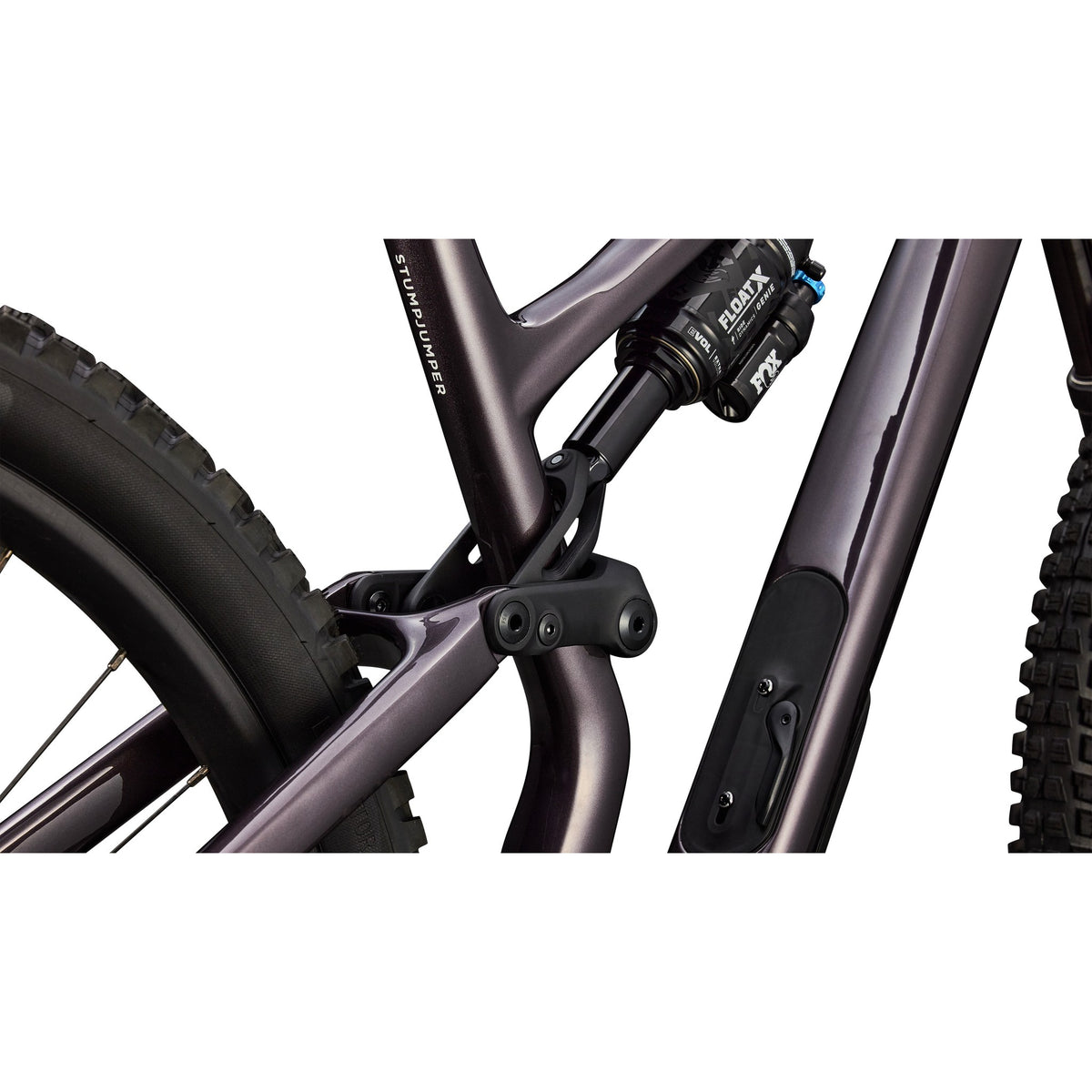 Stumpjumper 15 EVO Expert AXS