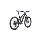 Stumpjumper 15 EVO Expert AXS