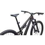 S-Works Stumpjumper 15 EVO