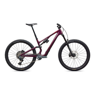 Stumpjumper 15 EVO Expert