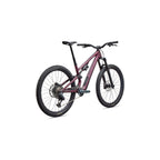 Stumpjumper 15 EVO Expert