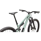 Stumpjumper 15 EVO Expert