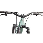 Stumpjumper 15 EVO Expert