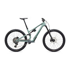 Stumpjumper 15 EVO Expert