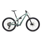 Stumpjumper 15 EVO Expert