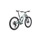 Stumpjumper 15 EVO Expert
