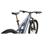 S-Works Turbo Levo 4 (2026)
