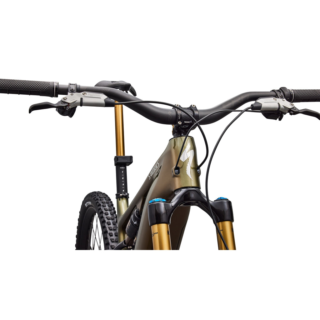 S-Works Turbo Levo 4 (2026)