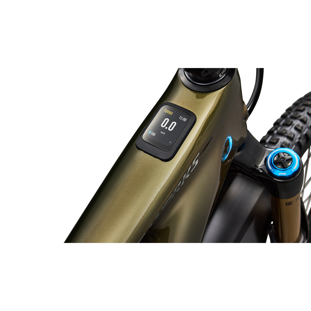 S-Works Turbo Levo 4 (2026)
