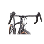 Diverge 4 Expert - SRAM Rival XPLR (2027)