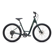 Gloss Oak Green Metallic / Powdered Lime