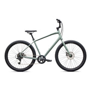 Gloss Agave Grey / Bottle Green