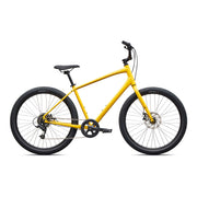 Gloss Brassy Yellow / Sunset Yellow