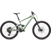 Satin Pistachio / Oak Green