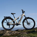 Amflow TL Carbon on the trail