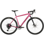 Salsa Stormchaser Apex Eagle Front Suspension Gravel Bike - Berry