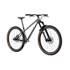 Surly Sorceress Single Speed Hardtail Mountain Bike - Swamp Water Taffy