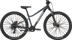 Cannondale Trail Mountain Bike - Kids