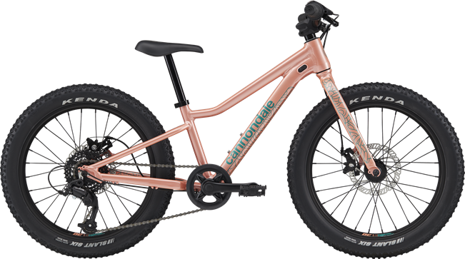 Cannondale Trail Mountain Bike - Kids