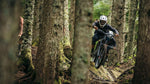 Specialized Gambit Full Face Bike Helmet
