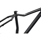 Salsa Heyday! Carbon Fat Bike Frameset - Black