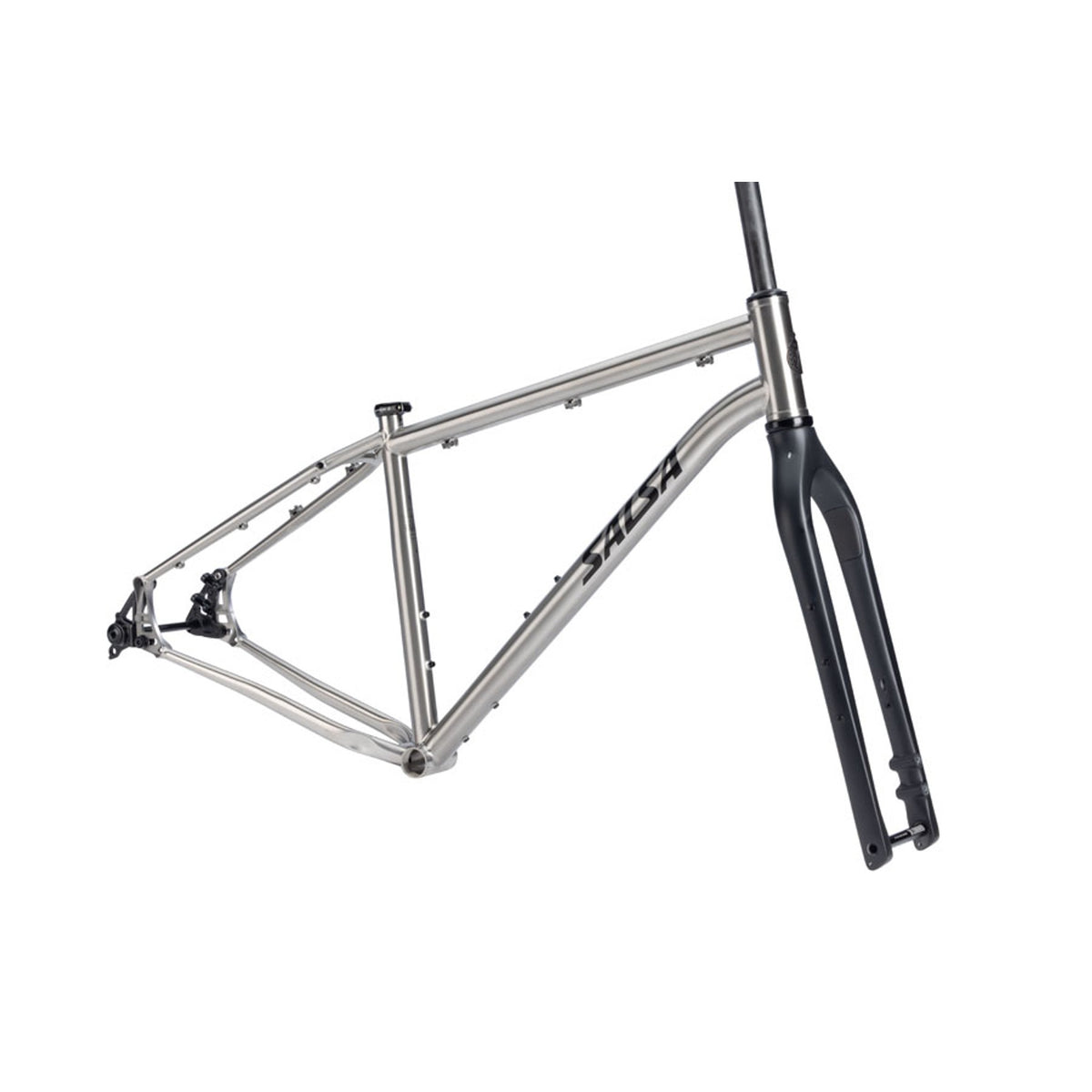 Salsa Fargo Ti Gravel Bike Frameset - Brushed Titanium