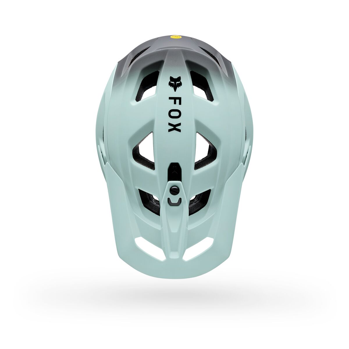 Fox Speedframe Pro Bike Helmet