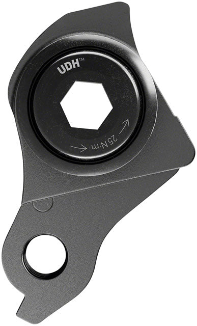 SRAM Universal Derailleur Hanger (UDH)