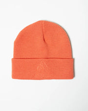 Deep Coral