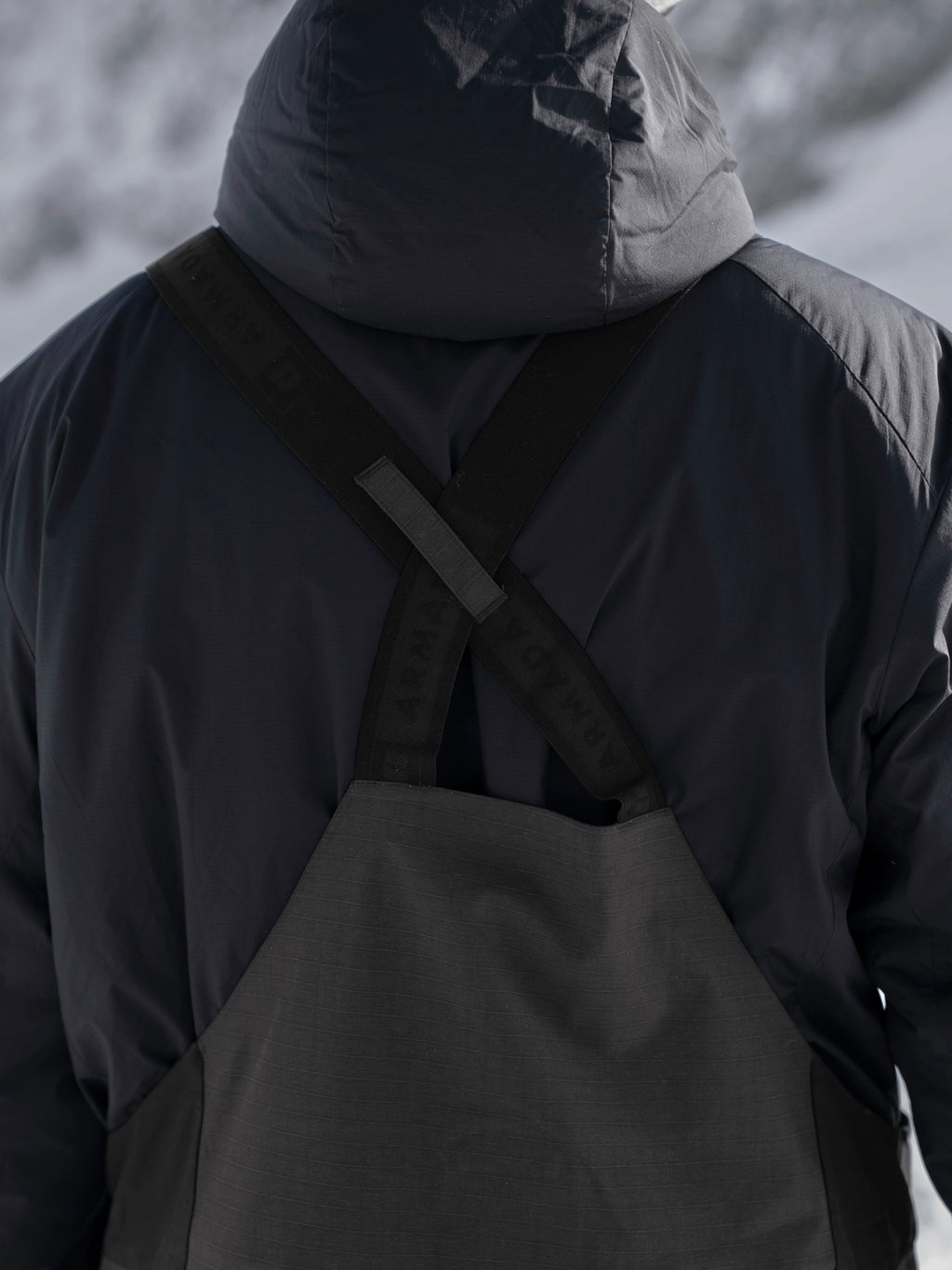 Armada Emmons 3L Bib Pant - Men's