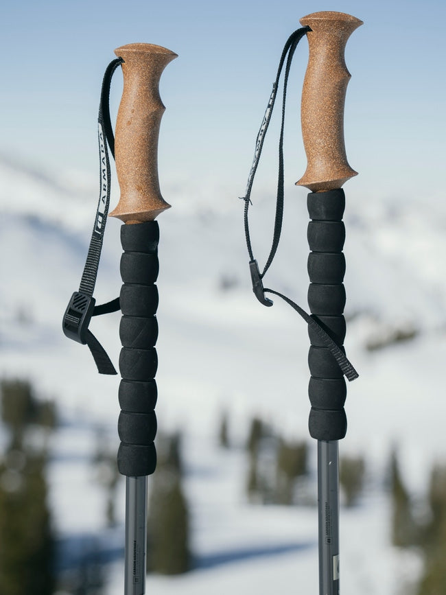 Armada Carbon Adjustable Poles