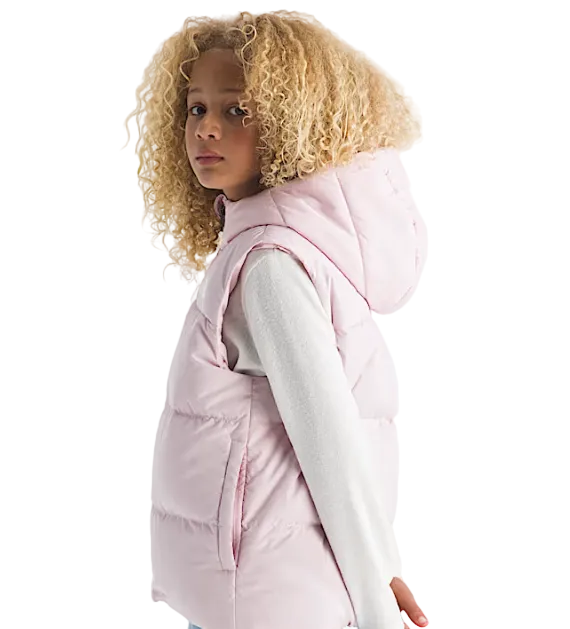 The North Face Down Hooded Vest - Women's