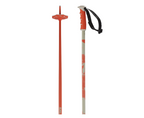Salomon Steep Ski Poles