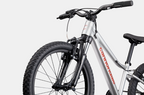 Cannondale Trail Mountain Bike - Kids