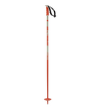 Salomon Steep Ski Poles