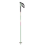 Salomon Steep Ski Poles