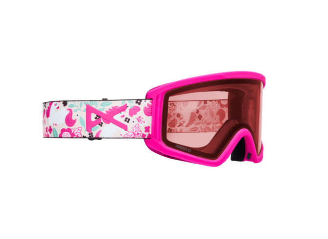 Anon Tracker 2.0 Snow Goggle + MFI Face Mask - Kids