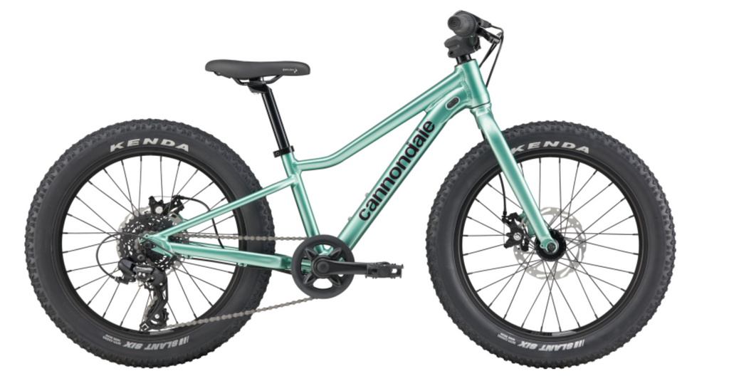 Cannondale Trail Mountain Bike - Kids
